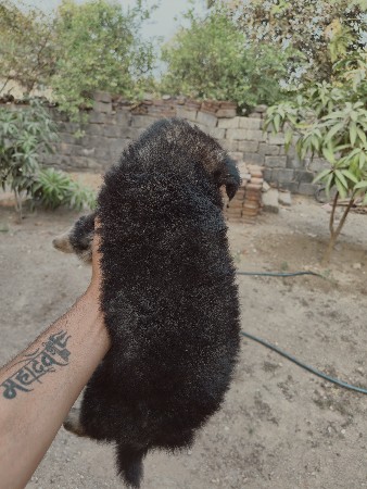 थंबनेल 3