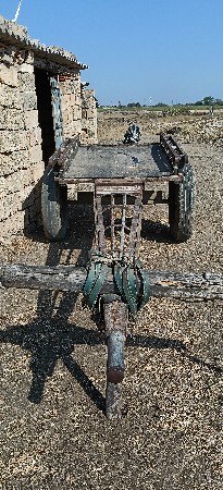 થંબનેલ 2