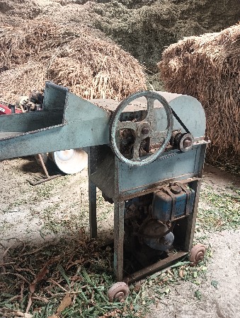 થંબનેલ 3