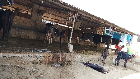 थंबनेल 3