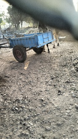 બરધવેચવાનોછે