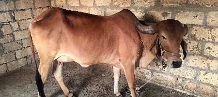 थंबनेल 3