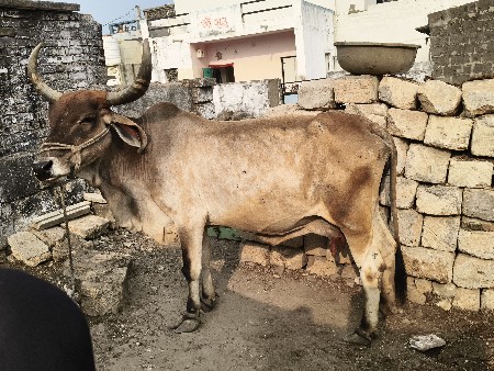 थंबनेल 3