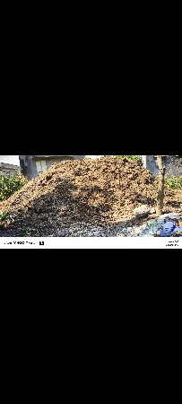 છાણીયું ખાતર