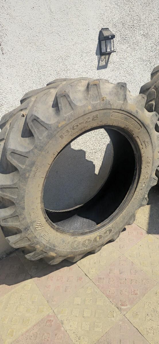 થંબનેલ 3