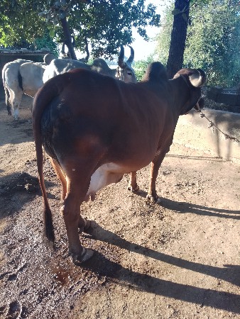 थंबनेल 3