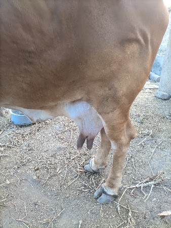 थंबनेल 3