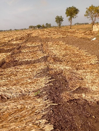 નીરણ વેચવાની છે