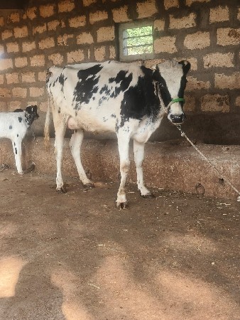 थंबनेल 5