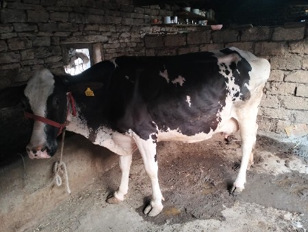 વેચવાની છે