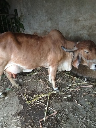 थंबनेल 3