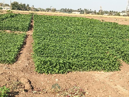 થંબનેલ 2