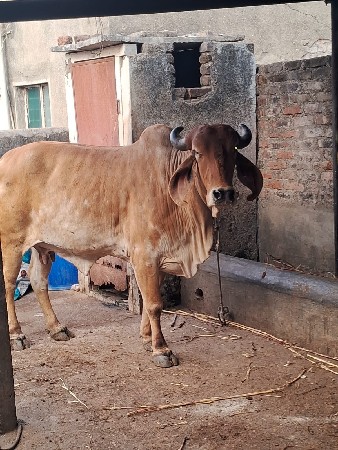 थंबनेल 2