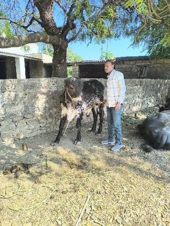 थंबनेल 3