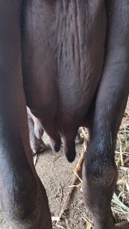 थंबनेल 2