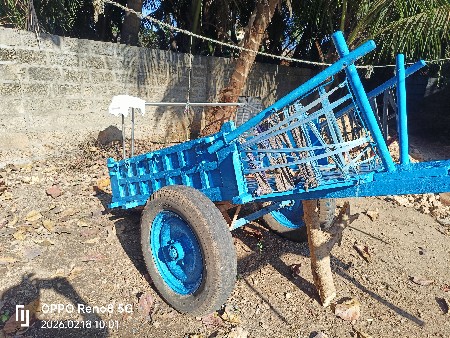 થંબનેલ 2