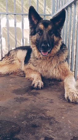 थंबनेल 2