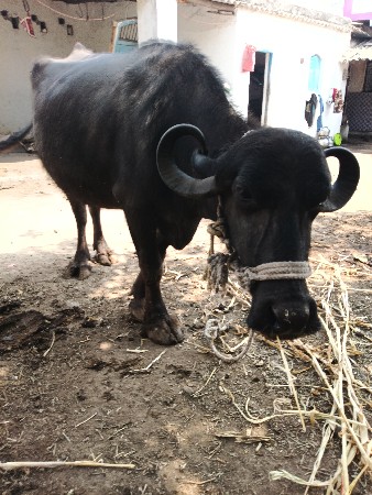 थंबनेल 3