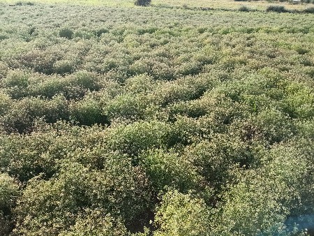 જમીન વેચવાની સે