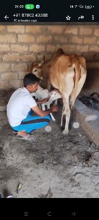 थंबनेल 2