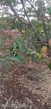 જમીન વહેંચવા સે