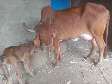 थंबनेल 3