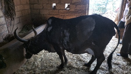 थंबनेल 3