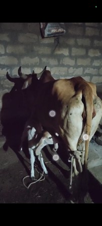 थंबनेल 5