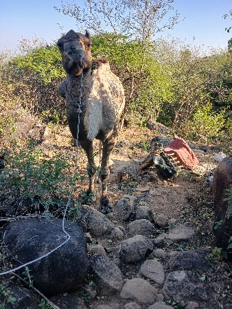 થંબનેલ 3