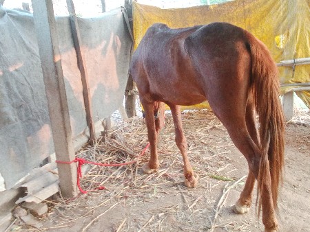 थंबनेल 3