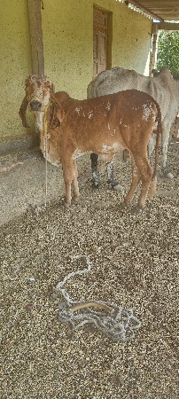 थंबनेल 2