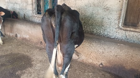 थंबनेल 2