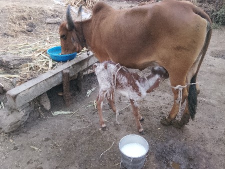 थंबनेल 5