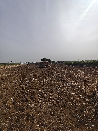 थंबनेल 3