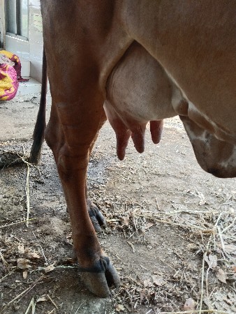 थंबनेल 3