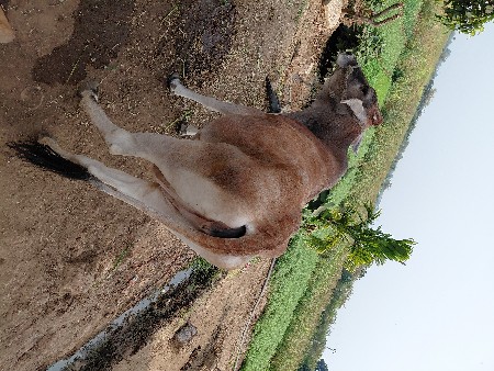 थंबनेल 3