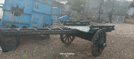 થંબનેલ 3