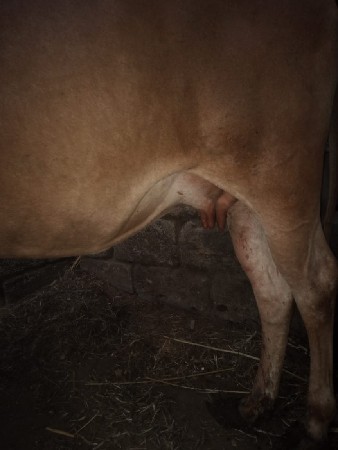 थंबनेल 4