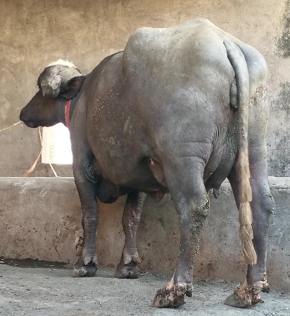 थंबनेल 2