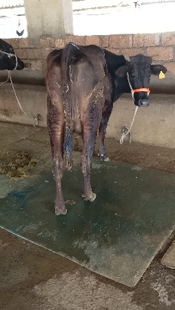 थंबनेल 6