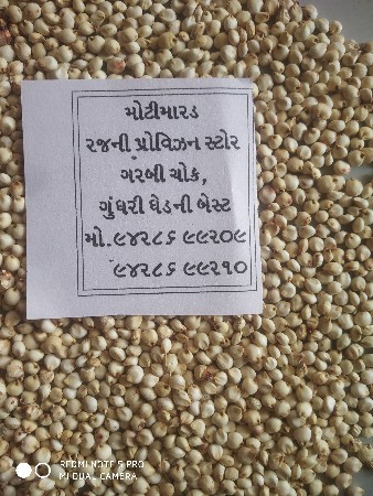 ઞુંધરી.  ધેડ.  ની.  બેસ્ટ. મલશે