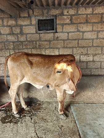 थंबनेल 3