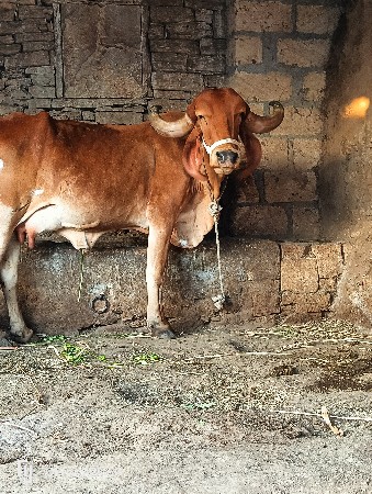 थंबनेल 2