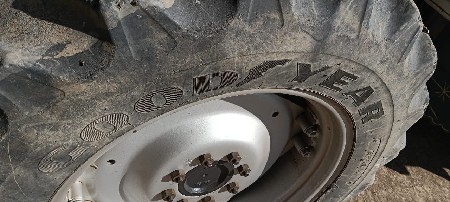 થંબનેલ 3