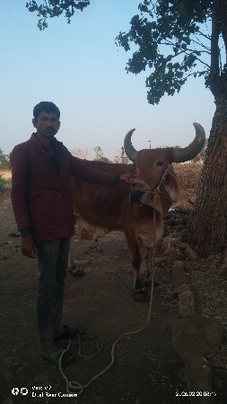 થંબનેલ 3