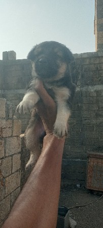 थंबनेल 2