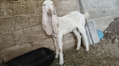 थंबनेल 2