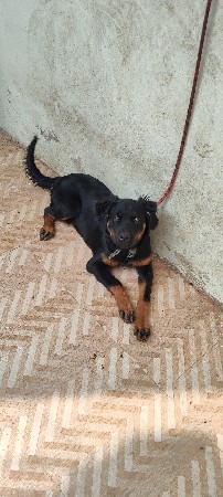 થંબનેલ 3