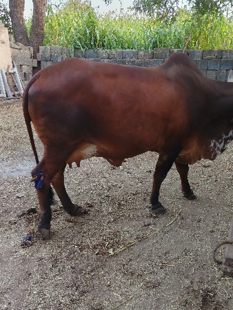 थंबनेल 2