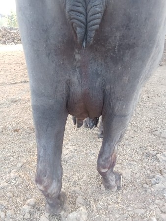 थंबनेल 3